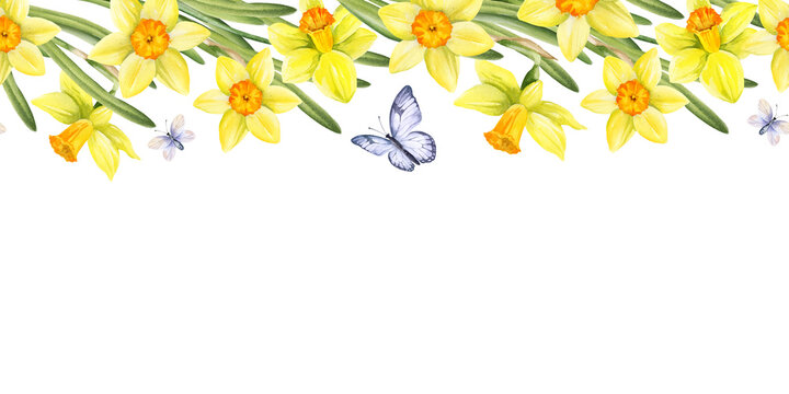seamless border of yellow flowers, flying butterflies, hand drawn watercolor daffodils, narcissus, green leaves, template for spring Easter illustration of jonquils bouquet for decoration