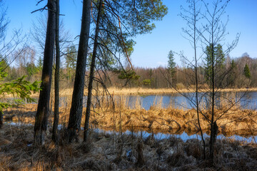 Zbiornik wodny Wyżary, Puszcza Knyszyńska, Podlasie, Polska © podlaski49