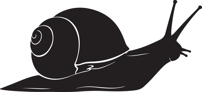 Black silhouette of a snail with a spiral shell white background