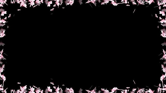 Sakura Cherry Blossom Particle Rectangle Frame Border Animation. Romantic Pink Sakura Flower Particle Glowing Border Loop on Alpha Channel. Fresh Sakura Blossom Particle Rectangle Frame Loop.