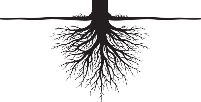 Black silhouette of tree roots growing downward from trunk