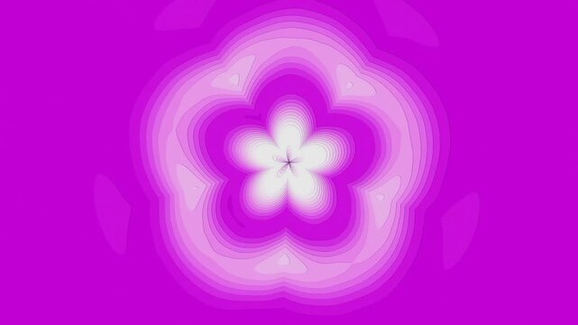 Video, layered cherry blossom background, Violet or Electric Purple, wallpaper, floral pattern, for ad backgrounds, food and beverage products, Japanese cherry blossoms 