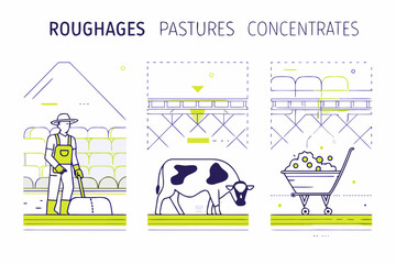Illustration depicting farm animal feed types roughages pastures and concentrates © Amrito