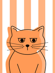 Kot na pomarańczowym tle w paski © PaulinaGrush