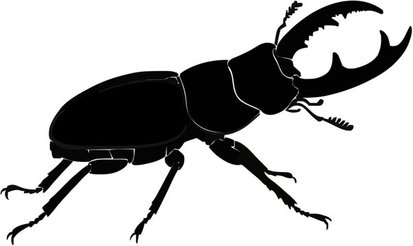 Stag Beetle Silhouette &ndash; Flat Vector Plotter Cut File