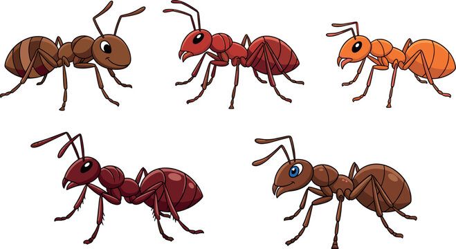 Cartoon Ant Character Illustration Set with Colorful Insect Designs Cute Stylized Ant Collection for Kids Education Nature Projects and Animal Vector Graphics.