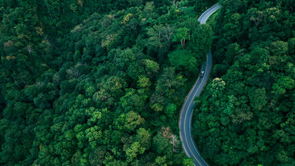 Scenic winding road in forest, suitable for green business concepts, climate responsibility, sustainable investment planning, and eco-conscious corporate messaging. © Hand Robot