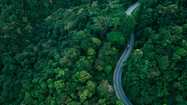 Scenic winding road in forest, suitable for green business concepts, climate responsibility, sustainable investment planning, and eco-conscious corporate messaging.