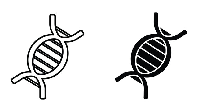 Illustration of dna replication and transcription process with a focus on genetic material