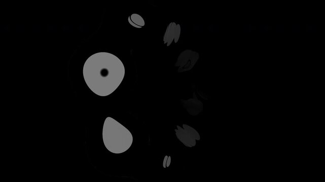 Abstract Glowing Hopf Fibration 4D Topology Seamless Looping Spacetime Portal Background Black And White Monochrome