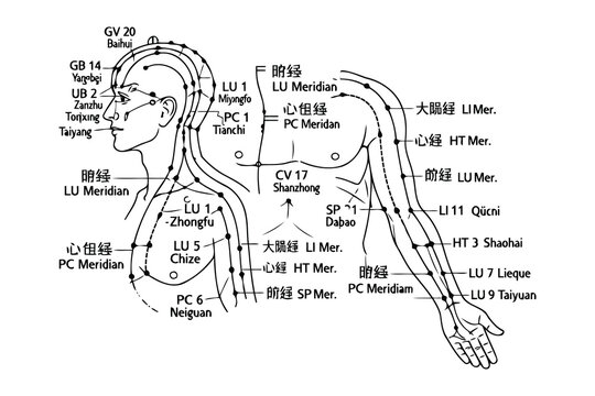 Traditional Chinese meridian points and pathways on the human body diagram Vector