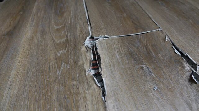 buckled laminate floor with torn planks and visible crack caused by heated floor expansion. closeup of damaged floor covering with lifted edges