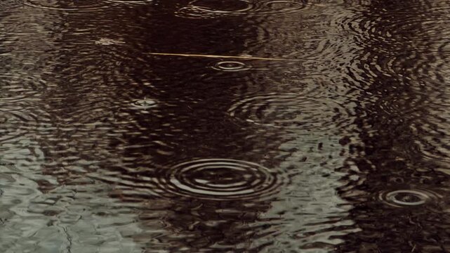 Raindrops Falling On Water Surface Creating Circular Ripples. Rainy Day Atmosphere