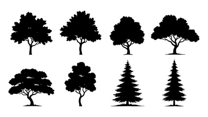 Black tree silhouettes collection, set of 8 deciduous and coniferous tree icons, forest plant vector elements for landscape design and mapping © Shahida