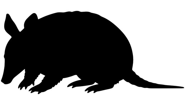A black armadillo silhouette illustration on a white background