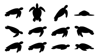 Sea turtle silhouette collection, set of 12 marine reptile vector icons, black aquatic animal shapes on white background, ocean wildlife graphics © Ripa