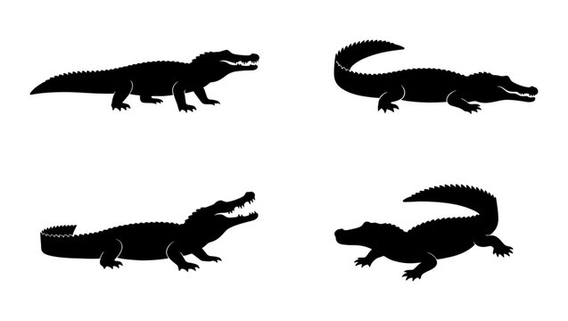 Crocodile silhouette vector set, black alligator icons on white background, 4 wild reptile elements, predatory swamp animals for logo design