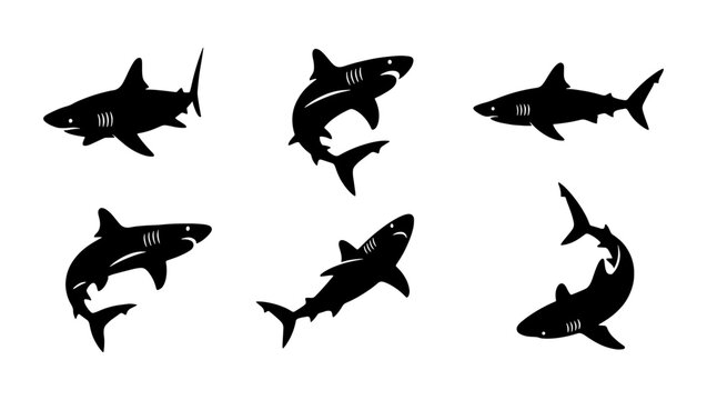 Great white shark silhouette collection, set of 6 predatory sea fish icons, black shark vector graphics for marine wildlife design and logos