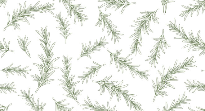 Refreshing seamless pattern of green rosemary sprigs on a white background for kitchen decor or food packaging design.