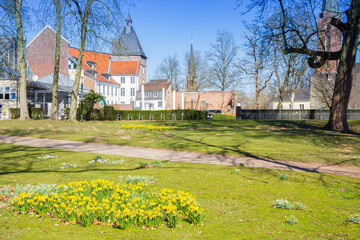 Yellow narcissus spring flowers in front of the castle in Moers, Germany © venemama