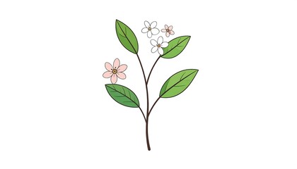 Fototapeta premium A simple illustration of a stem bearing green leaves and delicate blossoms, rendered in a clean and minimalist style