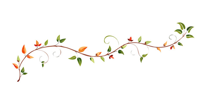 Ornamental floral vine border with colorful leaves, vector
