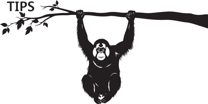 Black silhouette of a monkey hanging from a tree branch