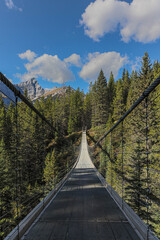 Fototapeta premium suspension bridge