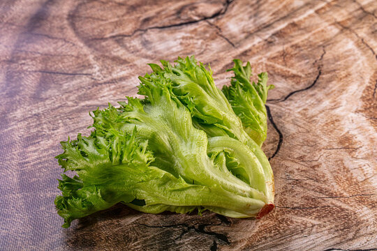 Fresh raw frisee lettuce head on a rustic wooden background