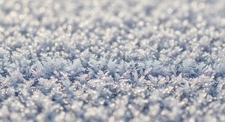 Obraz premium Delicate Frost Crystals Displaying Textural Patterns on Cold Winter Surface