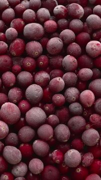 Raw, frozen cranberries as a food background texture. Table spin, vertical video.