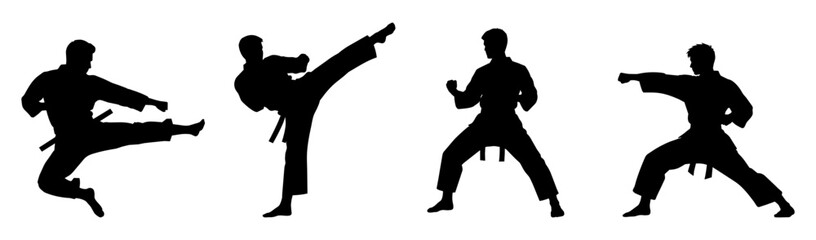 Karate fighter ailhouettes set. Man karate poses, kicking and punching actions collection © Maxim Filitov