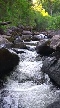 Fresh mountain stream cascading over mossy rocks in a quiet forest. The pristine water sparkles as it flows through the rugged stones, in refreshing and calming natural scene. Eco-tourism