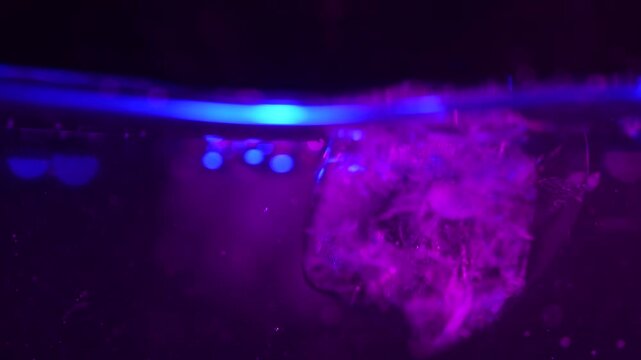 Ice cube falling into water with oxygen bubbles, frost patterns, and purple light reflections. Concepts for beauty advertising, menu designs for bars and restaurants, cryotherapy.
