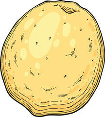 Sketch whole lemonade. Summer cold drinks, hand drawn yellow lemons slices and leaves. Glass of lemonade with ice vector illustration. Drink fruit lemonade graphic, juice and mint leaf © lupascoroman