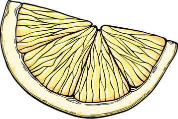 Sketch lemonade. Summer cold drinks, hand drawn yellow lemons slices and leaves. Glass of lemonade with ice vector illustration. Drink fruit lemonade graphic, juice and mint leaf © lupascoroman