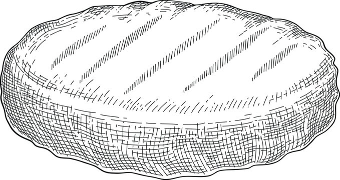 Sketch of meat product. Handdrawn beef, lamb and pork steak extra or medium rare. Grilled sausage