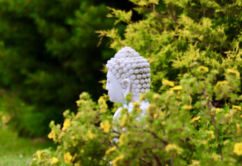 Statue de Bouddha de profil dans un jardin zen avec nature verdoyante en arrière-plan © Sophie