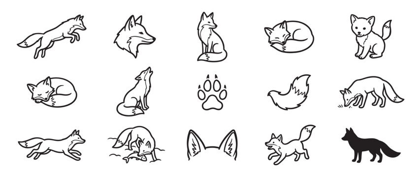 Collection of fifteen black outline fox illustrations in various poses and actions, including a paw print and ears