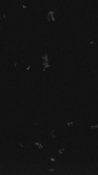 Vertical format dirty film texture overlay with dust, hair, and stains for horror and mystery video edits