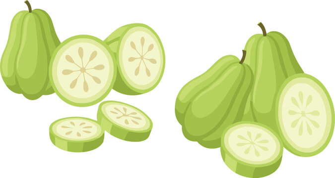 Green chayote squash collection with sliced vegetable pieces fresh organic food vector illustration set isolated on white background