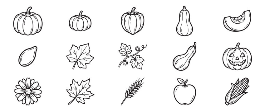 Collection of various autumn harvest elements including pumpkins, squash, leaves, and corn in a simple outline style