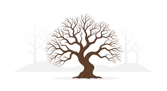 A large leafless deciduous tree with a thick brown trunk and numerous bare branches stands on a light grey background.