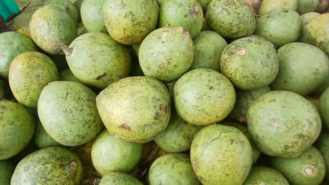 Close up video of bael fruits from India.