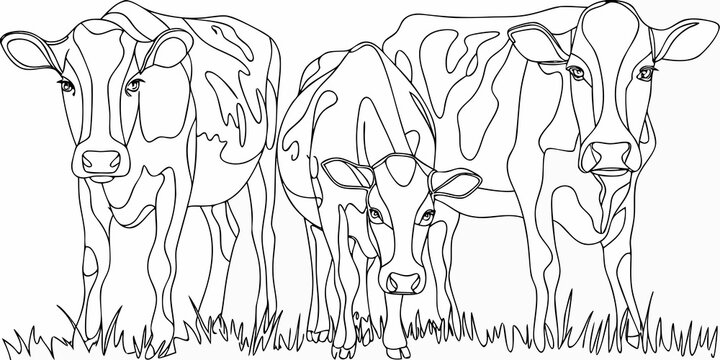 A stylized line drawing depicts three cows standing in tall grass