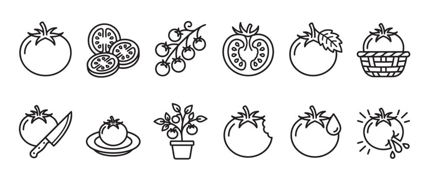 Collection of black outline tomato icons showing whole, sliced, bitten, and growing tomatoes with various details