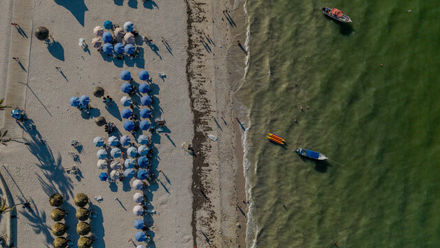 A dynamic aerial view of a lively beach where the natural rhythm of the sea meets organized human activity. Rows of umbrellas and palapas create geometric patterns on the sand, contrasted by the organ