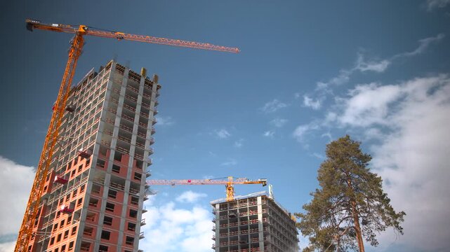 Building Rises Near Pine Tree. Skyscraper Construction With Scaffolding And Cloudy Blue Sky Backdrop . Media