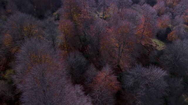 Aerial view from a drone of the autumn landscape in the Sierra de Entzia. &Aacute;lava. Basque Country. Spain. Europe