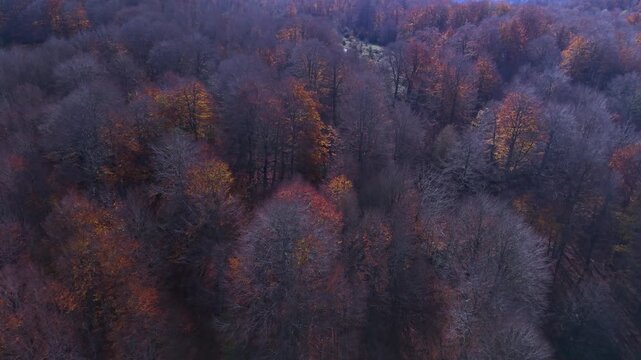 Aerial view from a drone of the autumn landscape in the Sierra de Entzia. &Aacute;lava. Basque Country. Spain. Europe